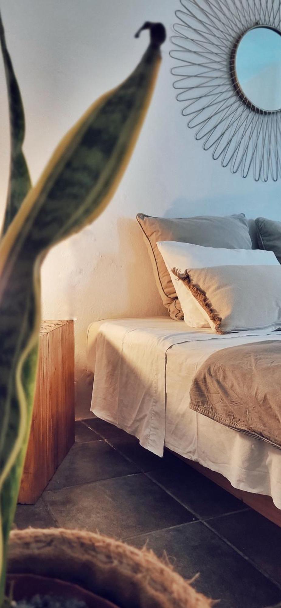 B&B La Mimosa Teguise  Buitenkant foto