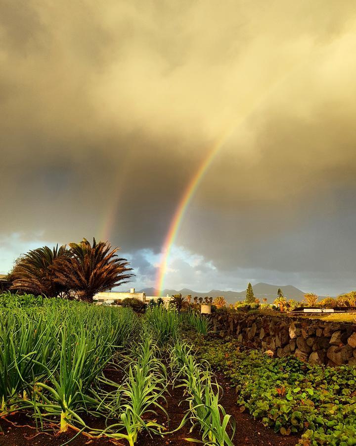 B&B La Mimosa Teguise  Buitenkant foto